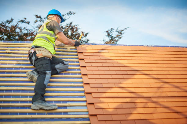 Best Roof Maintenance and Cleaning  in Silsbee, TX